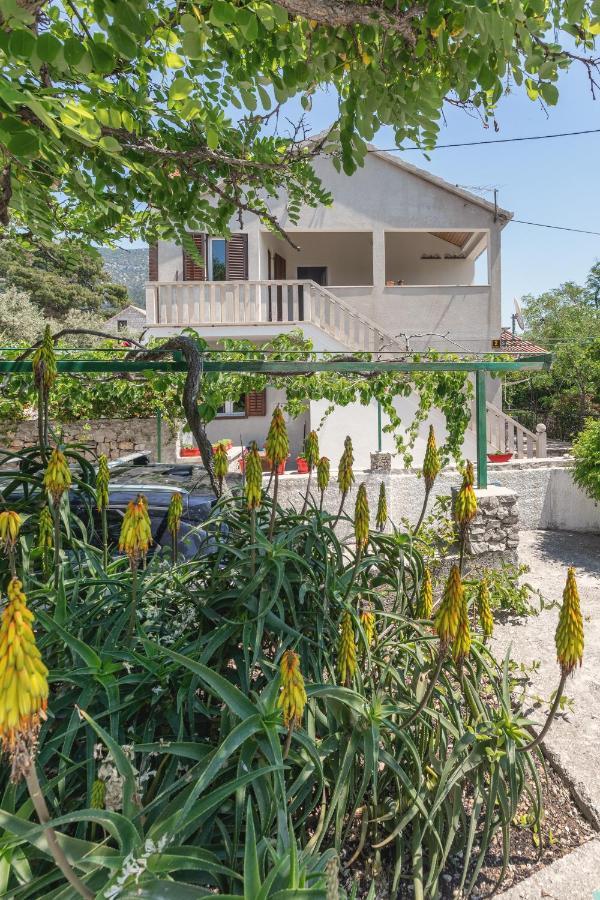 Center Apartment Golden Ray Bol Dış mekan fotoğraf