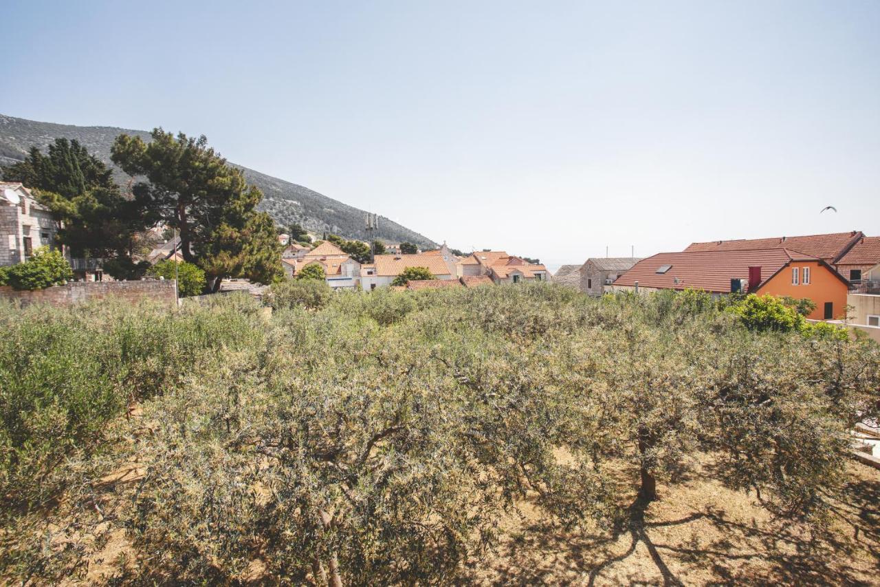 Center Apartment Golden Ray Bol Dış mekan fotoğraf